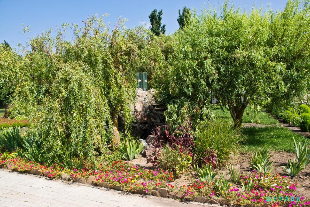 Отель Мелиоратор-Юг Koblevo Exterior foto
